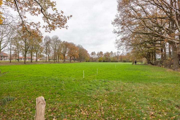 Foto 48 van Meijerstraat 6