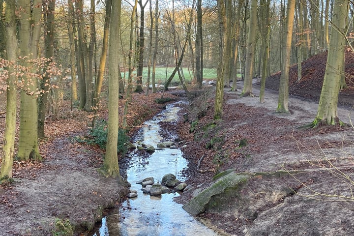 Bekijk foto 7 van Schelmseweg 101