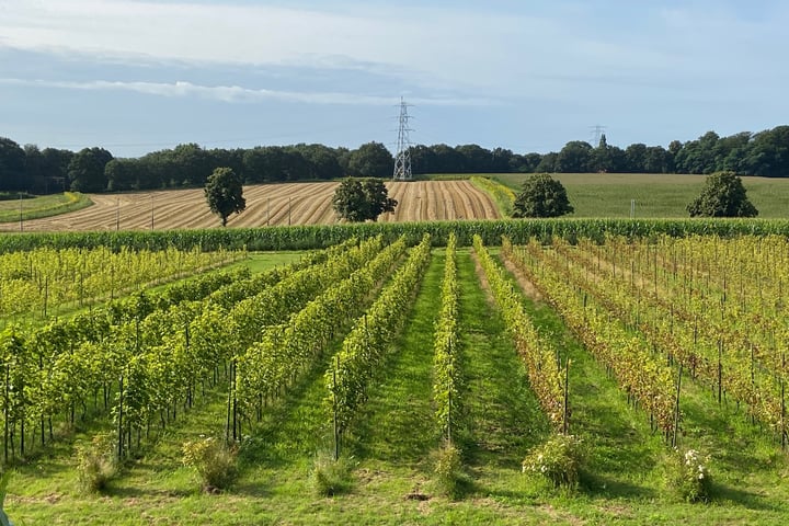 Bekijk foto 10 van Schelmseweg 101