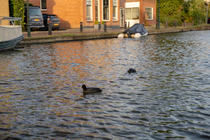 Foto 52 van Prinsekade 58