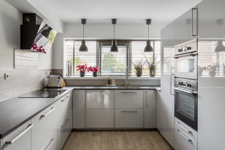 Foto 3 van Rosa Spierplantsoen 101