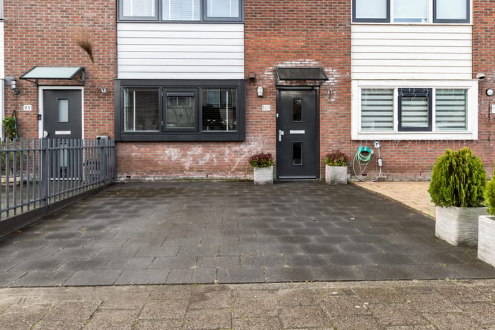 Foto 4 van Rosa Spierplantsoen 101