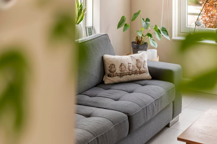 Foto 24 van Zandekkers 4