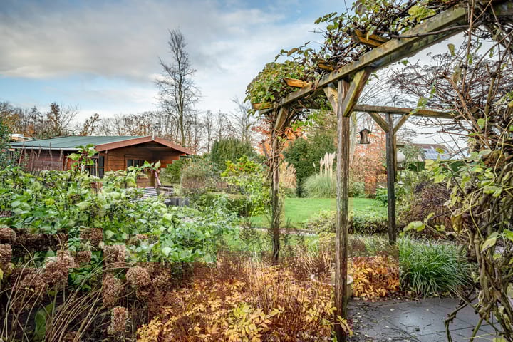 Foto 19 van Terschelling 6