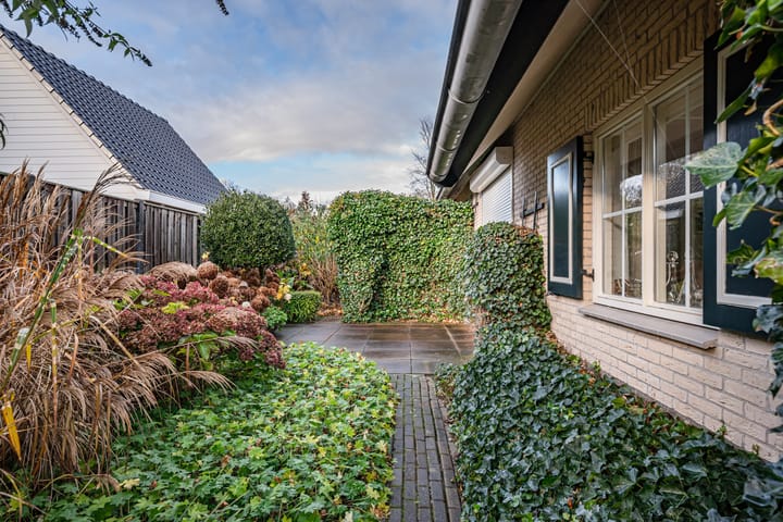 Foto 26 van Terschelling 6