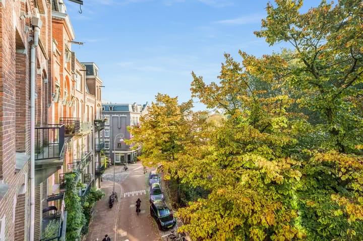 Foto 27 van Amaliastraat 2-3