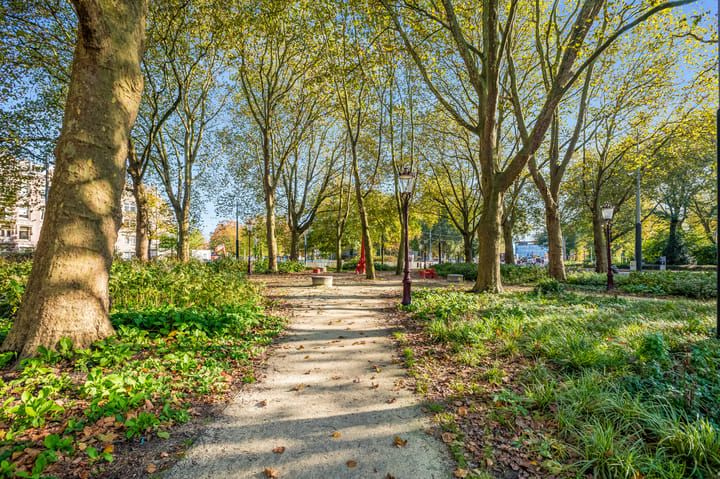 Foto 35 van Amaliastraat 2-3