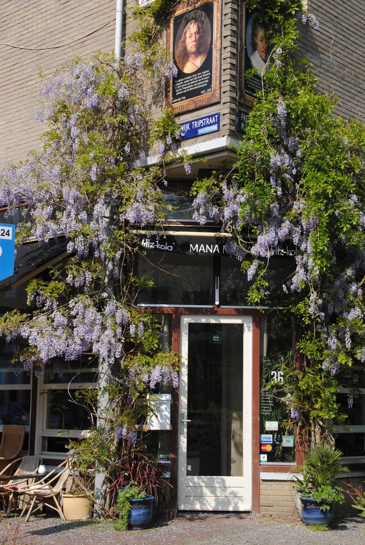 Foto 36 van Amaliastraat 2-3