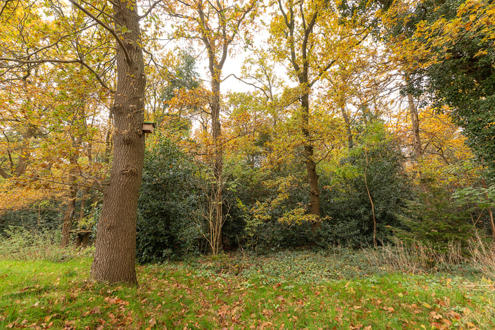 Bekijk foto 34 van Beresteinseweg 16