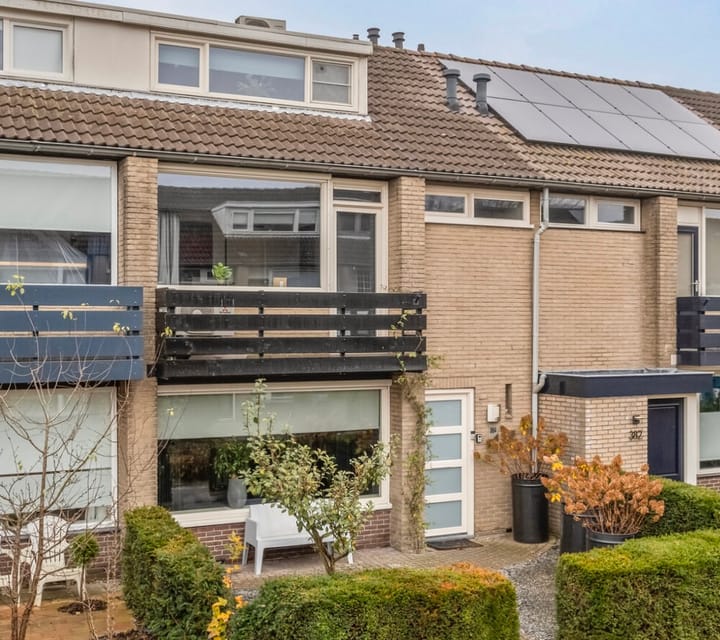 Foto 1 van Bergschot 384