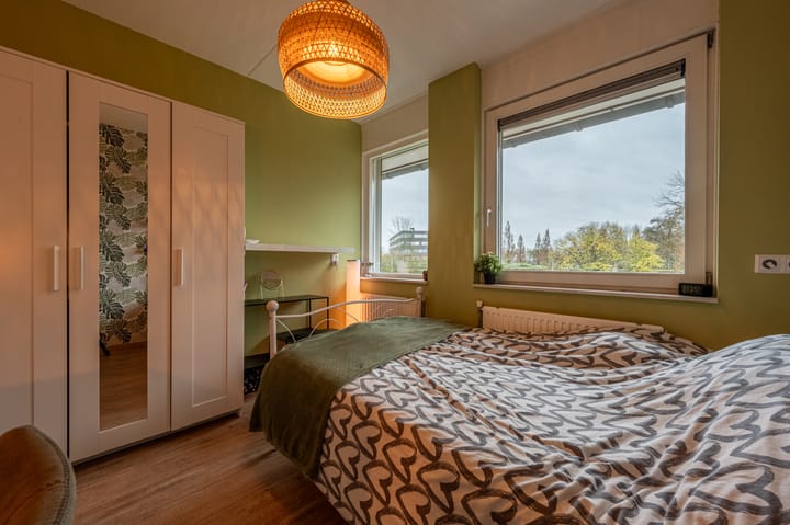 Foto 29 van Jan van Almondestraat 119