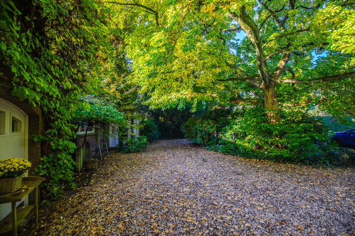 Foto 41 van Jan Steenlaan 3