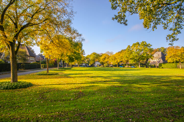 Foto 36 van Jan Steenlaan 3