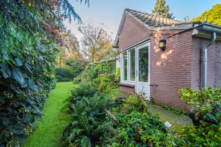 Foto 53 van Jan Steenlaan 3