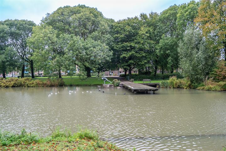 Bekijk foto 44 van Rijnenburglaan 29