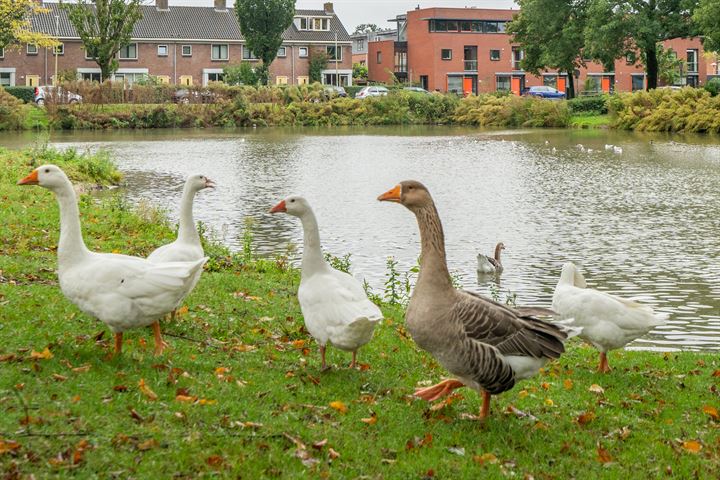 Bekijk foto 46 van Rijnenburglaan 29