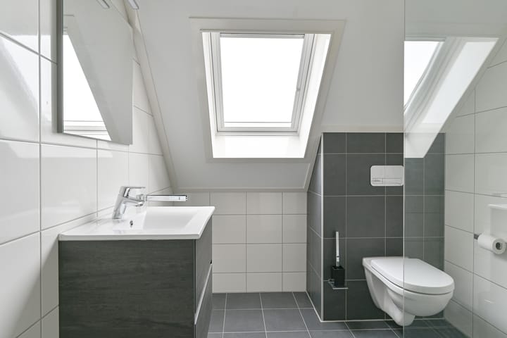 Foto 54 van Beeldentuin 8