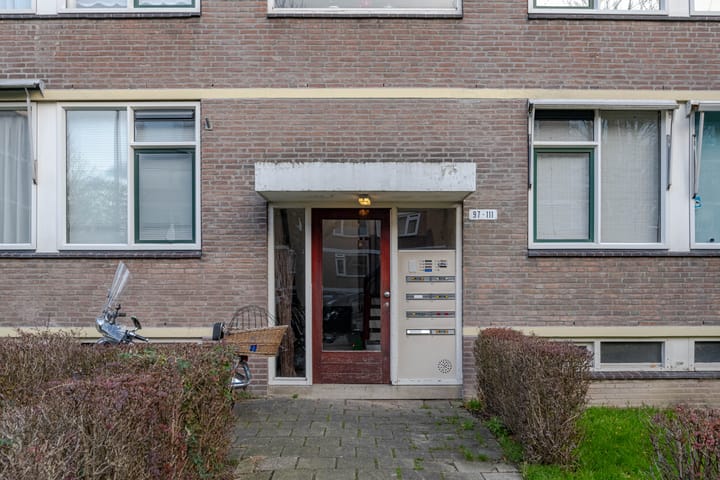 Foto 7 van Ruigoord 111