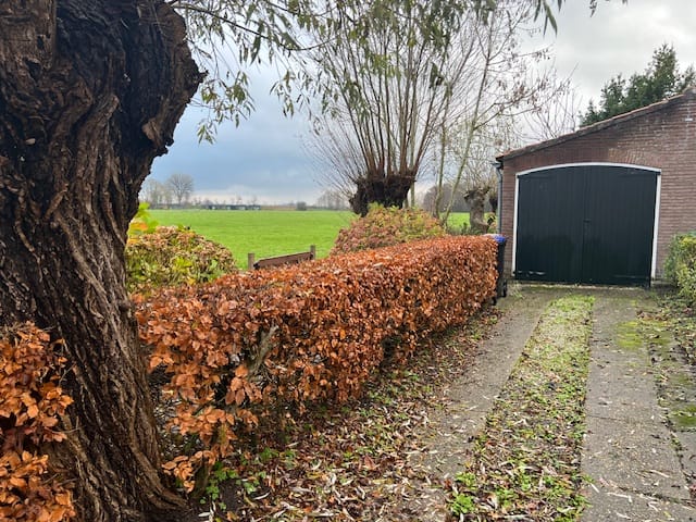 Foto 32 van Theodorus de Leeuwlaan 12