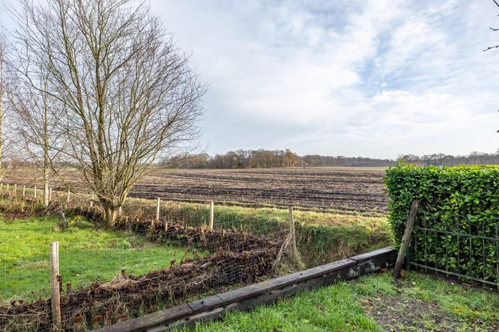 Foto 24 van Hunebedstraat 11-A