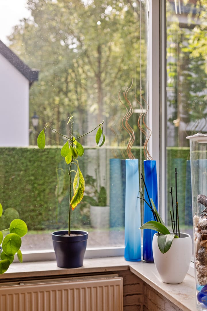 Foto 40 van Hunebedstraat 11-A