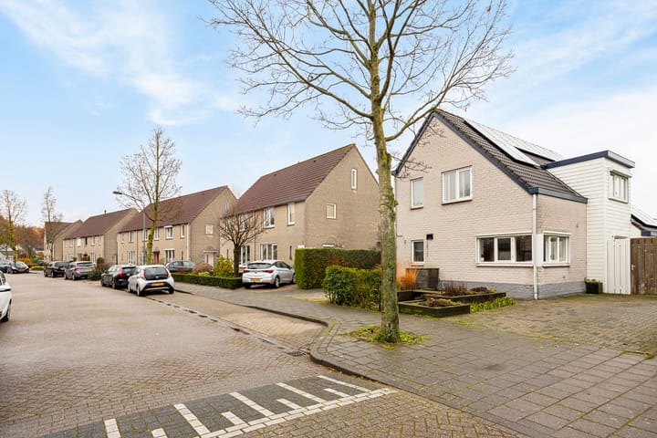 Foto 51 van Marijnenlaan 16