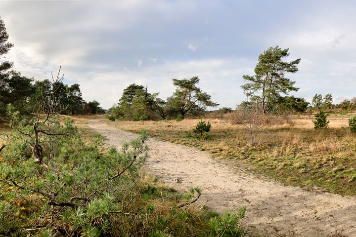 View photo 38 of Kerkendelweg 49-47