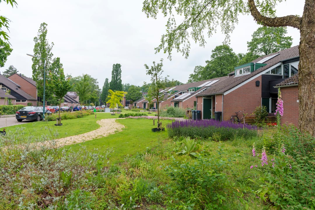 Photo 41 of Klaver 9