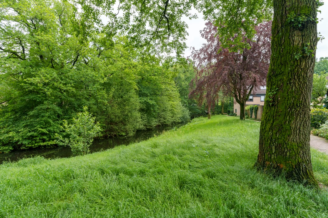 Photo 43 of Klaver 9