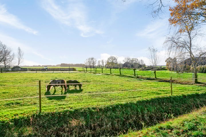 Foto 31 van Veneweg 74