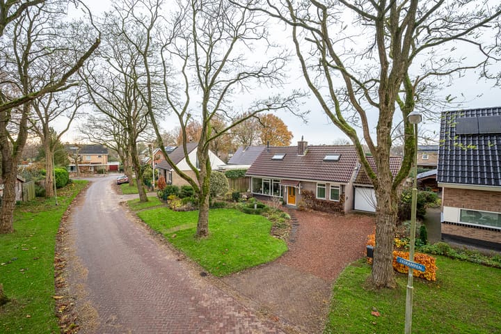 Foto 5 van Zeskampen 10