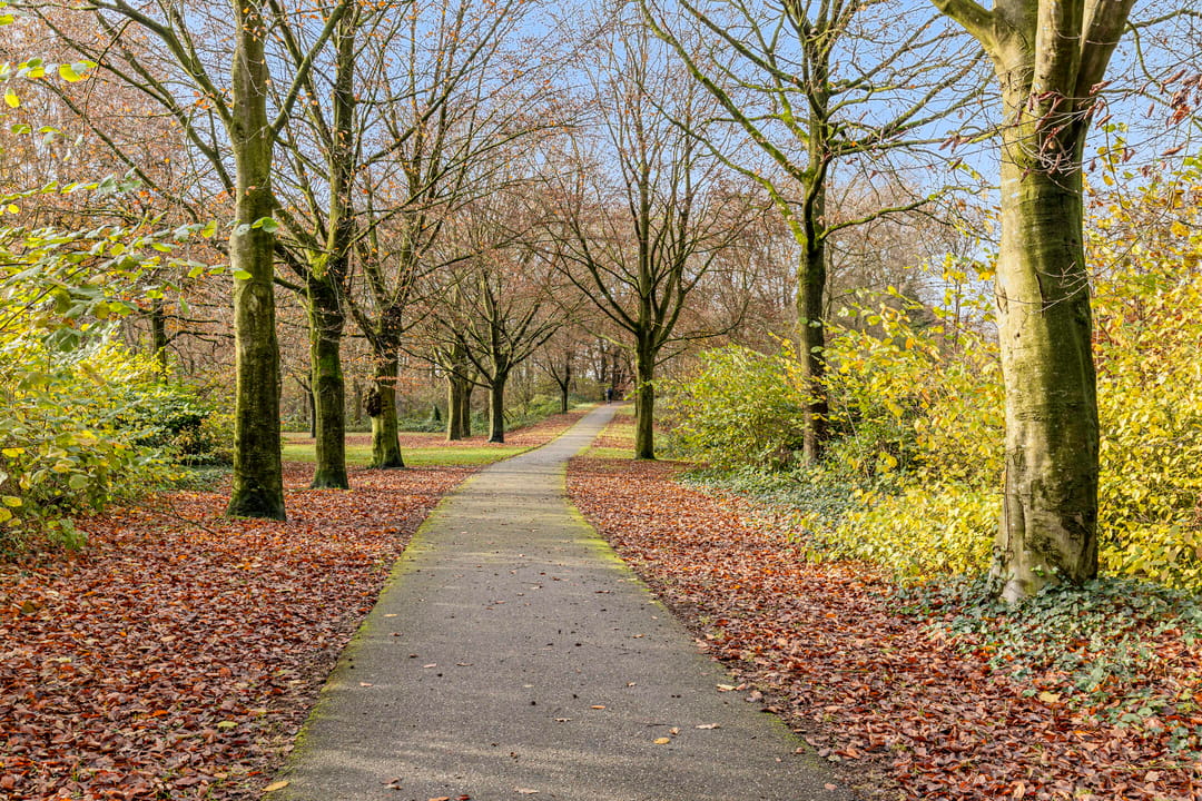 Foto 46 van De Indus 3