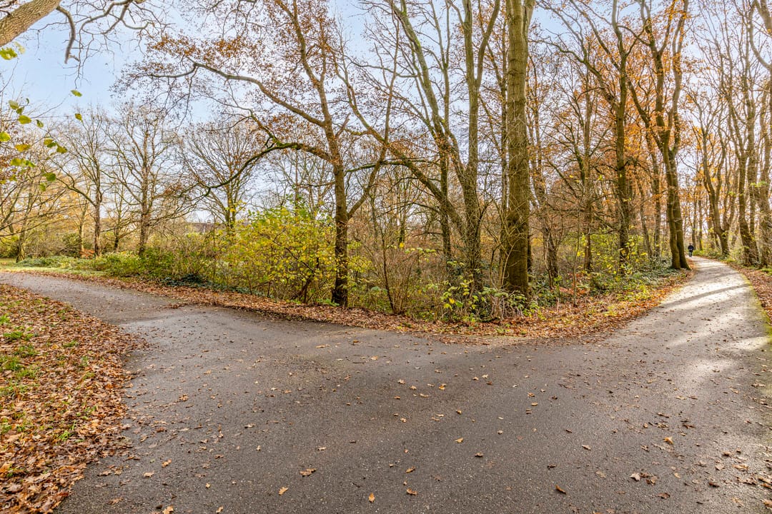 Foto 47 van De Indus 3