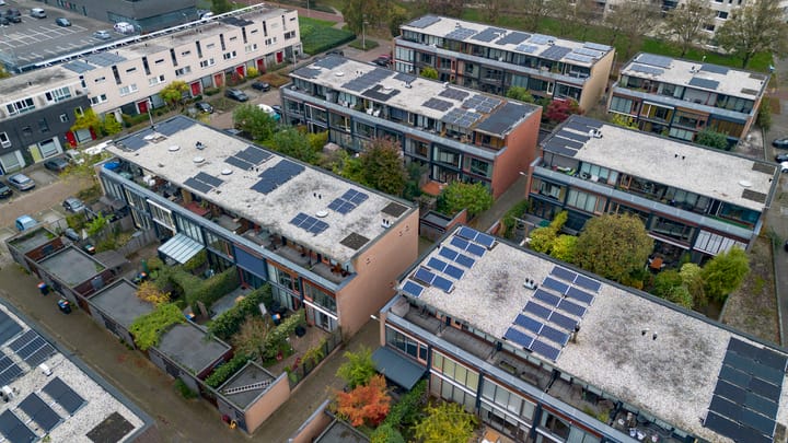 Foto 42 van Magnoliaerf 50