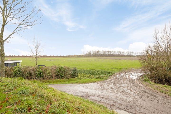 Foto 41 van Spuikom 38