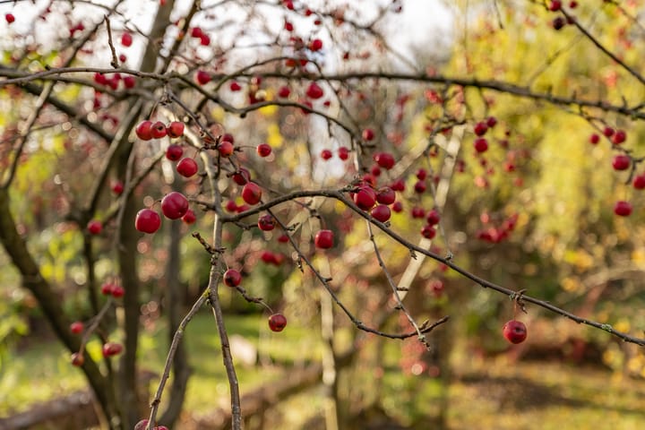 Foto 45 van Getij 53