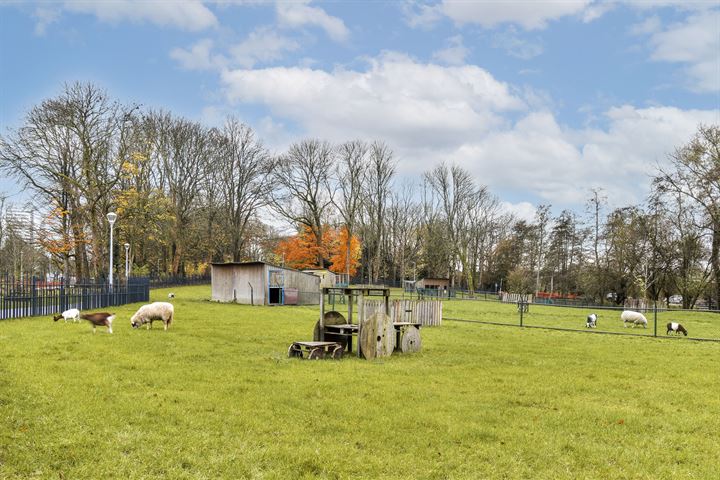 Bekijk foto 31 van Bridgemankade 106