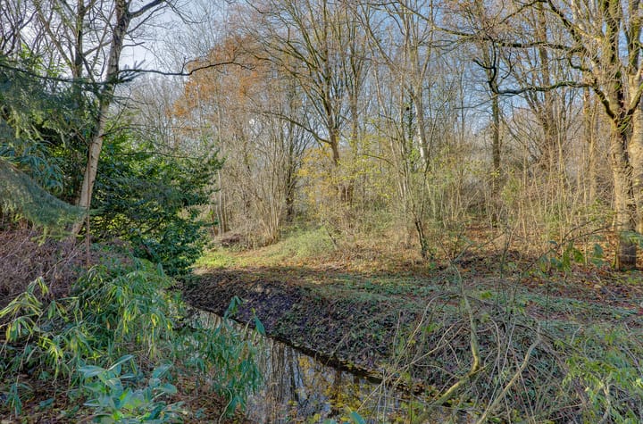 Foto 31 van Leemveld 122