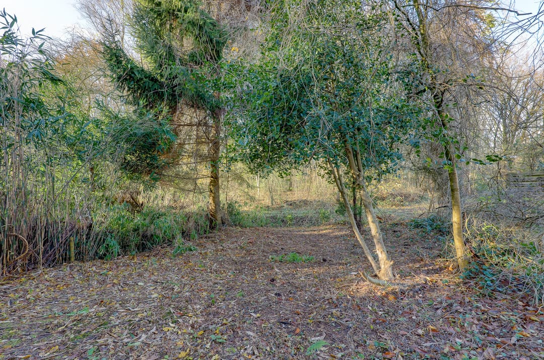 Foto 32 van Leemveld 122