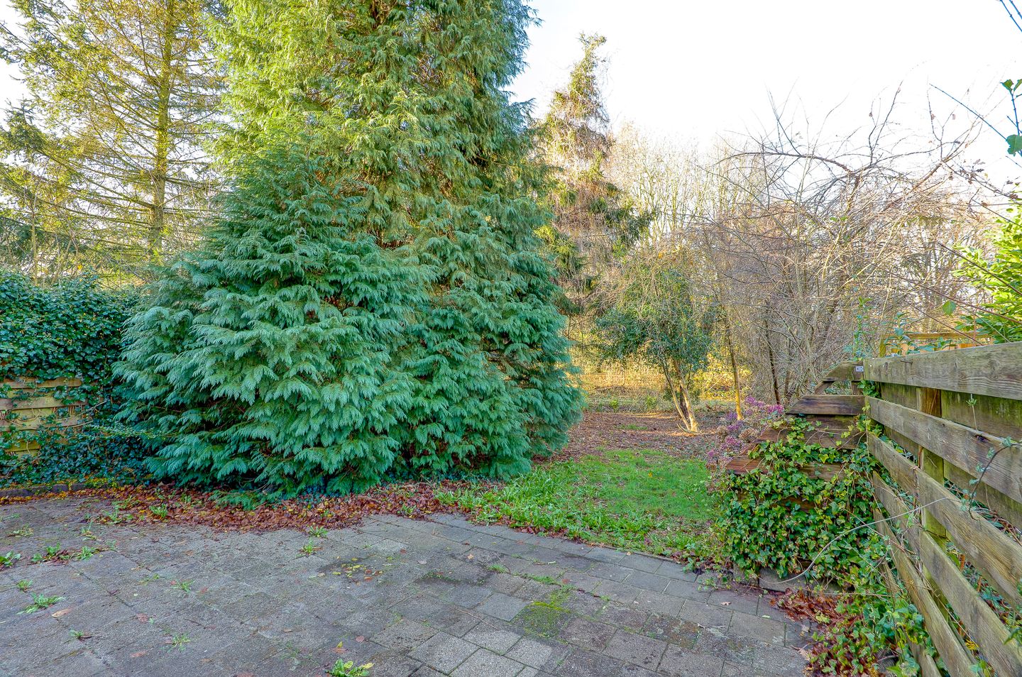 Foto 29 van Leemveld 122