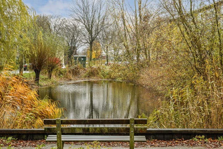 Foto 25 van Willem de Mérodestraat 10