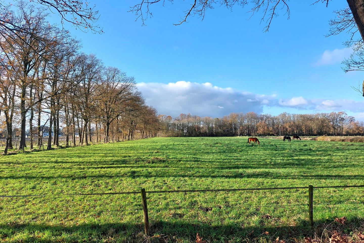 Bekijk foto 1 van Dorperdijk