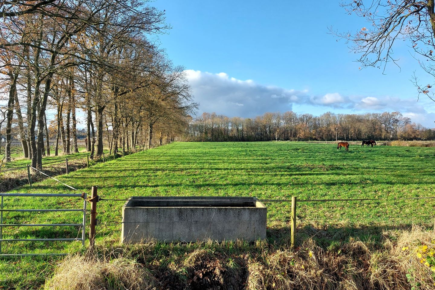 Bekijk foto 4 van Dorperdijk