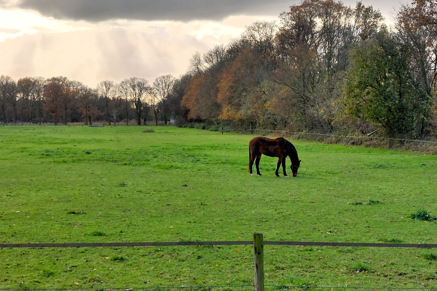 Bekijk foto 3 van Dorperdijk