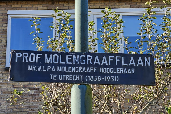 Bekijk foto 4 van Prof. Molengraafflaan 1G10