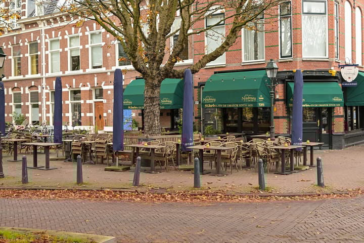 Foto 34 van Van Swietenstraat 100