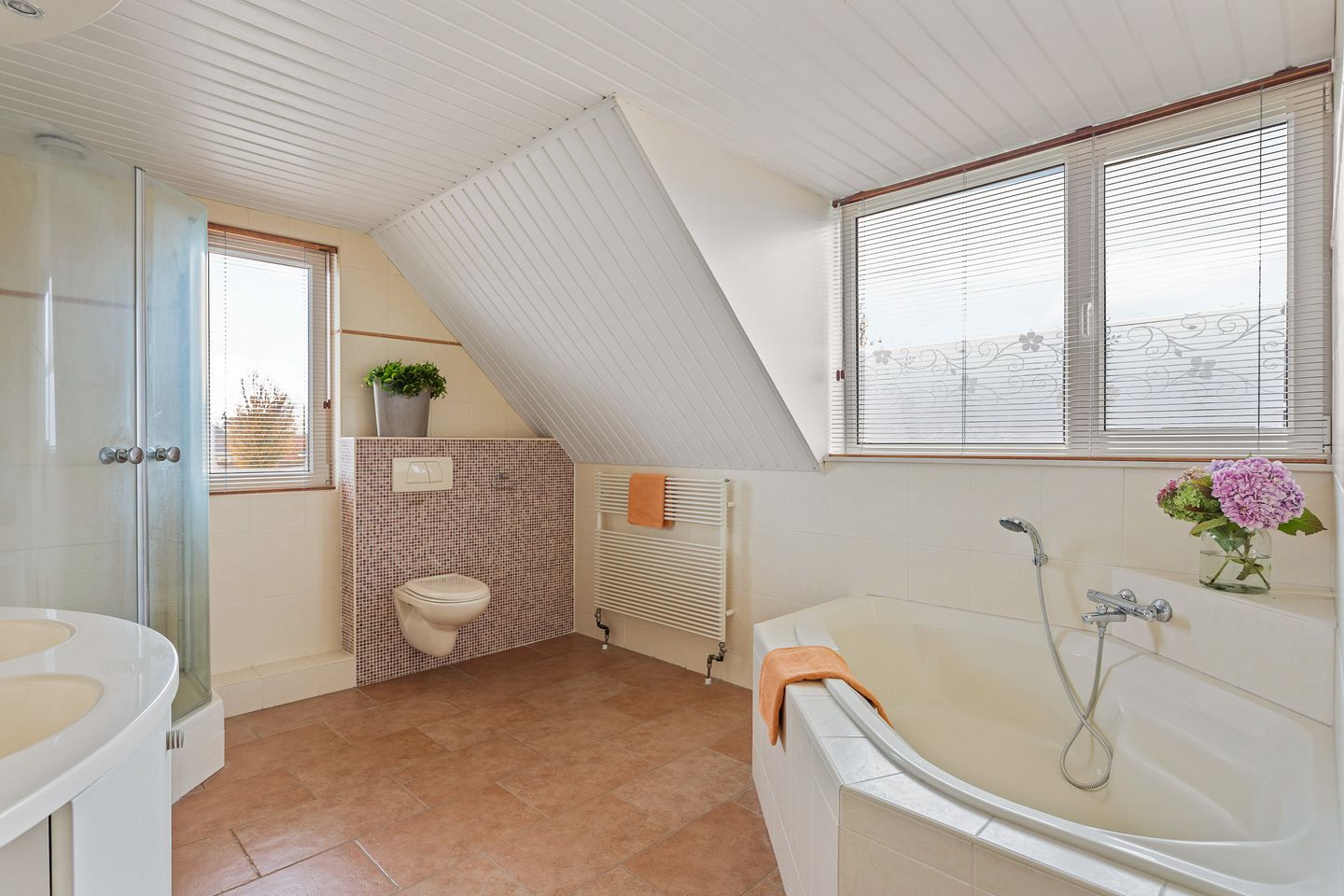 Foto 4 van Tjaskermolen 53