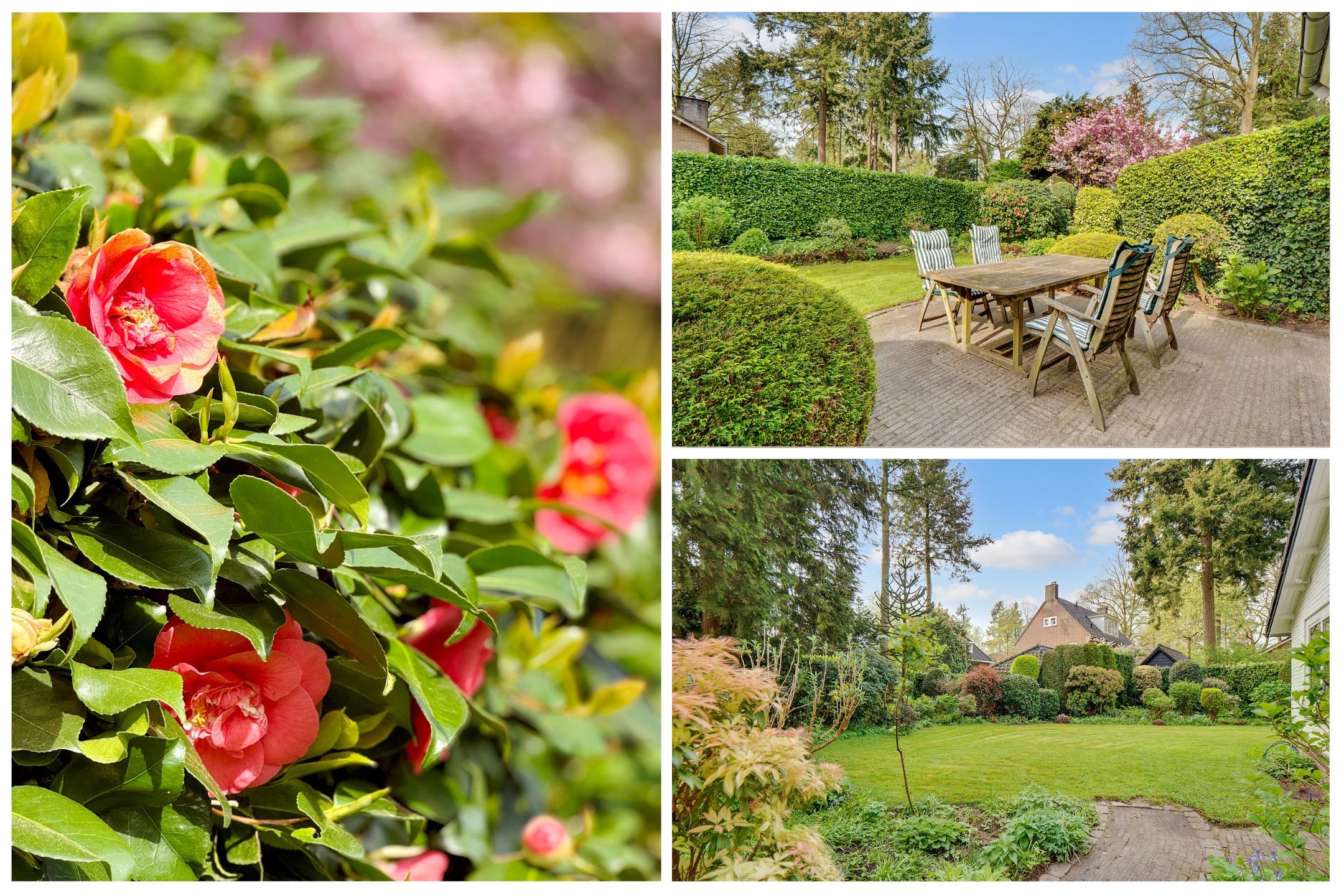 Foto 42 van Burg. Van Tuyll-laan 4