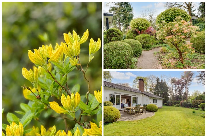 Foto 43 van Burg. Van Tuyll-laan 4