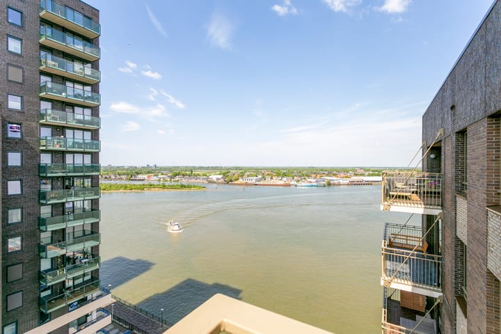 Foto 12 van Drierivierenlaan 469